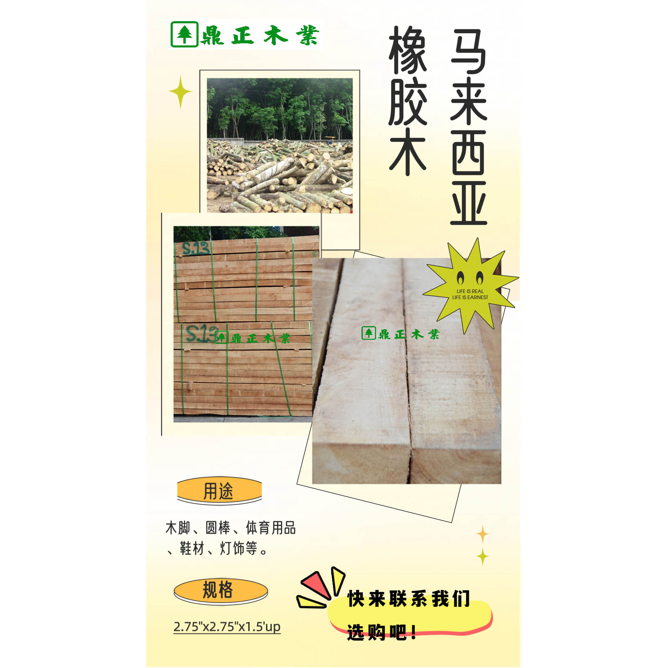独特之选，缔造自然之美！